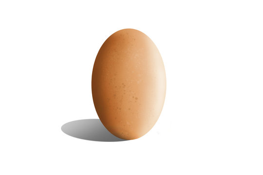 Illustration of a brown egg with white background
