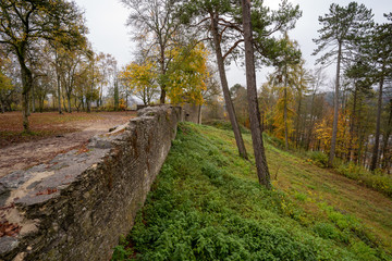 Oberes Donautal im Herbst