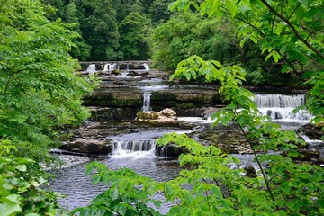 Aysgarth Upper Falls in the northern Yorkshire Dales