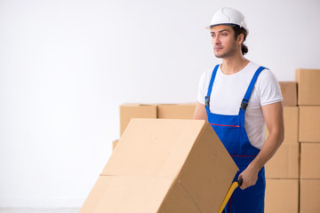 Young male professional mover doing home relocation