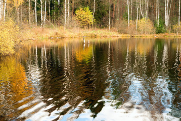 Reflection of the autumn shore in the water of the forest lake. Autumn landscape.