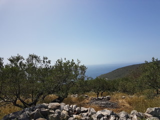 Peloponnese, Southern Europe: Olive trees, sea and towers