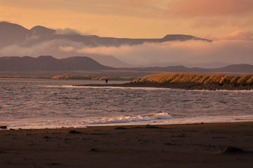 Obraz premium Hunafjordur beach at North Iceland. 