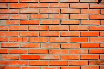 Red brick wall for background.