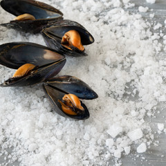 Cooked delicious black mussel, salty white background. Healthy eating concept, rich protein  food
