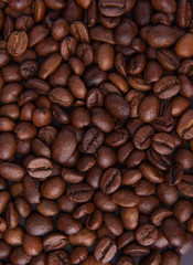 Beautiful composition of coffee beans, utensils for making coffee and decor in the form of almonds, dried slices of lemon, peanut and cinnamon on black and blue backgrounds.