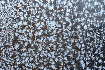 Frosty pattern on a window pane