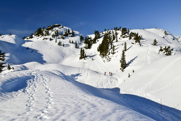 Fototapeta na wymiar Snowwhoeing in Mt. Seymour in Vancouver
