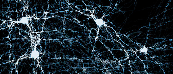 Signal transmitting neuron or nerve cell- 3d illustration