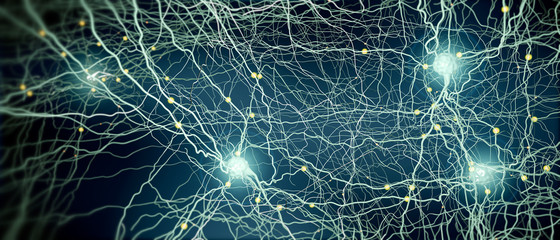 Signal transmitting neuron or nerve cell- 3d illustration