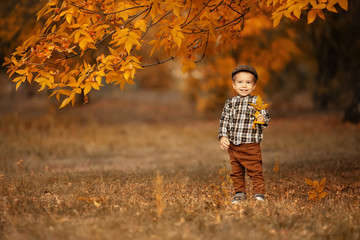 autumn portrait of happy little boy