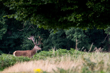 I see you!