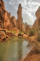 Fototapeta na wymiar Oaza w wąwozie zwana guelta na Saharze w Algierii