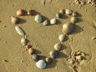 Herz aus Muscheln im Sand