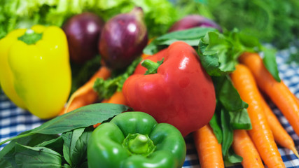 Verduras variadas frescas