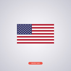 USA flag. Blue-red-white flag. US National Treasure. Independence Day. Vector illustration