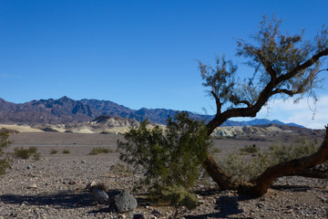 Berg Landschaft Wüste Steinig Trocken Heiß