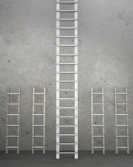 Different ladders in career progression concept