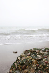 rocks on the beach and foggy sea