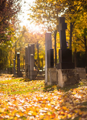 Friedhof - 300171459