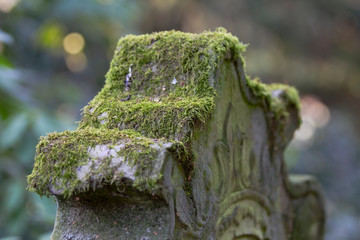 Detail eines mit Moos bewachsenen Grabsteines