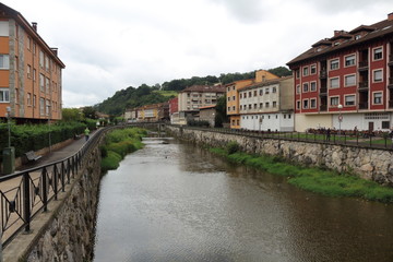 Fototapeta na wymiar Panorámica de un río y casas en un pueblo de montaña de Asturias