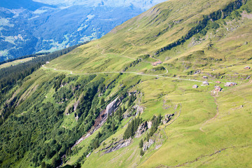 Hiking in swiss alps