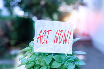 Conceptual hand writing showing Act Now. Concept meaning do not hesitate and start working or doing...