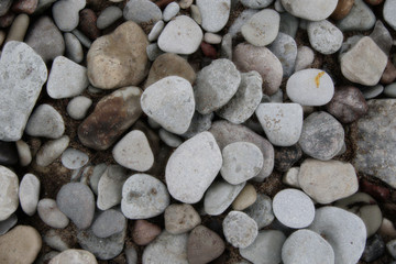 smooth colorful pebbles on the beach background