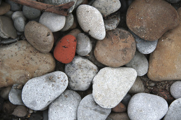 smooth colorful pebbles on the beach background