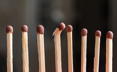 a single unique wooden match among the other regular ones, the teamwork idea