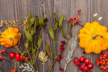 Halloween autumn concept. Pumpkin, mistletoe, elderberry, poppy, hop, dog rose, schisandra