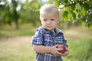 Plaid Farm Boy With Apple In Sunlit Park