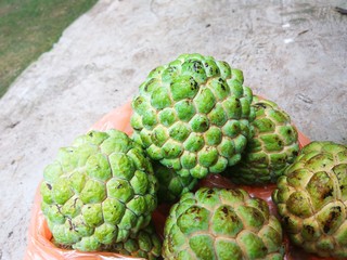 Obraz premium Custard apple