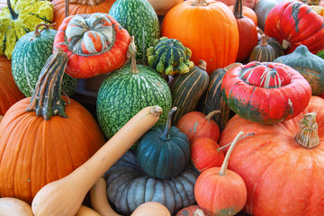 Colorful pumpkins
