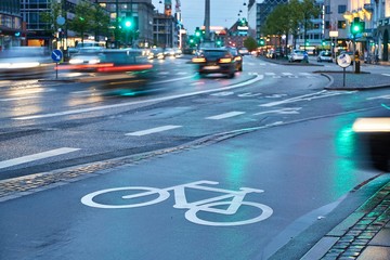 Bicycle lane sign on wet asphalt surface