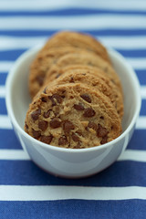 Homemade chocolate cookies in a porcelain plate. Closeup.