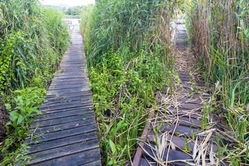 Pier on the pond Jenoi-to, Hungary