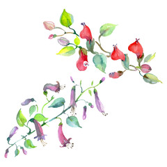 Bouquet floral botanical flowers. Watercolor background illustration set. Isolated bouquets illustration element.