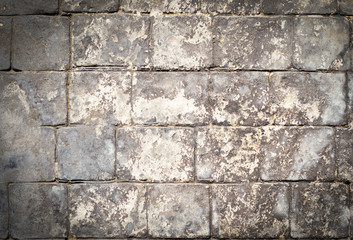 pared de bloques de cemento viejo con musgo