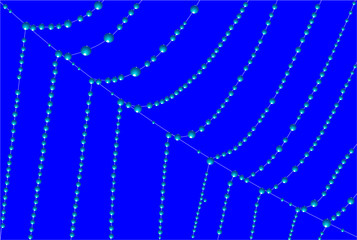 spider web covered with dew on a blue background