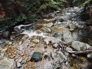 Stream