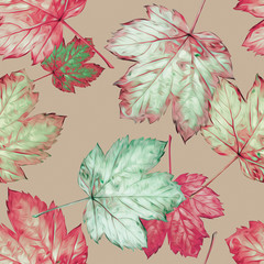 Maple leaves seamless pattern. Watercolor background.