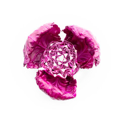 Top view of fresh purple cabbage on white  background.