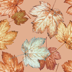 Maple leaves seamless pattern. Watercolor background. - 300181859