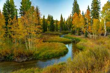 Duck Creek Meanders Through the Brilliant Fall Colors