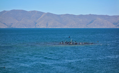 Lake Sevan, the largest lake in Armenia and the Caucasus region