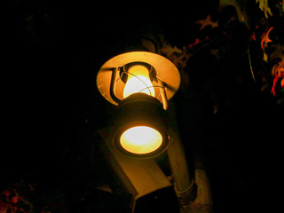lamp in the night