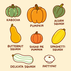 Cartoon pumpkin and squash
