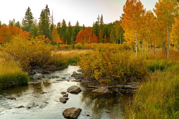 Brillant Colors of Fall Along Duck Creek
